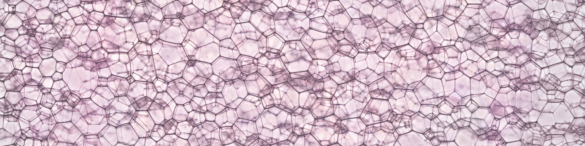 gem pages image