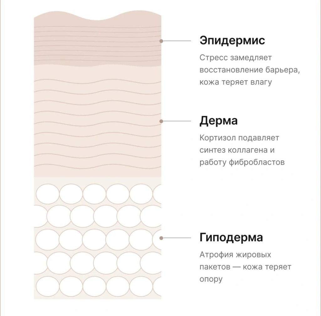 188 копия.webp